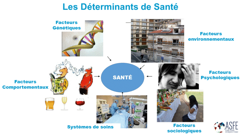 déterminants de santé ASFE