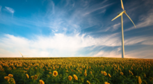 éolienne champ de tournesol