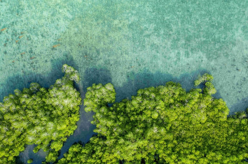 lagune